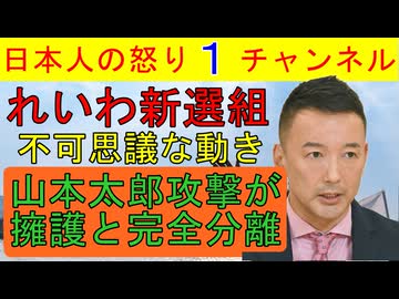 【れいわ新選組が妙な動きをする】大石あきこ、長谷川ういこ、奥田ふみよの３人の意見が微妙に違い一般支持者は支離滅裂な山本擁護に出てカオス状態に