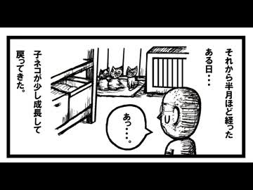 怒られる・・・。　「ねこ先生の日記　劇画風味　第２５回」