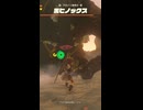 【ティアキン】アライソ海岸の黒ヒノックス　ゼルダの伝説ティアーズ オブ ザ キングダムNintendo Switch 2 Edition