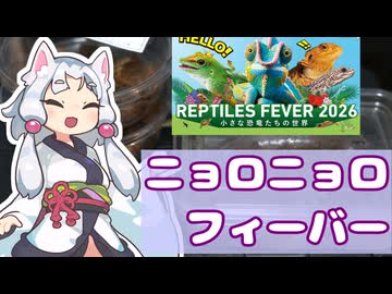 レプタイルズフィーバー2026のお迎え報告