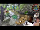 あ～岩手っすねぇ2（県統一ポケモンチャンピオン実況）