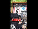【小春六花】一緒に冷やし始めようとする兄【ソフトウェアトーク劇場】