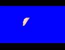 インムギョーザBB