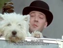 ホモと見る愛犬.S1E2