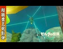 【ティアキン】レーザーコログ（飛行型・回転型）