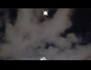 Stars in the night sky, even if it’s just a dream.(夜空の星よ夢でいいから)