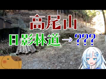 【リアル登山アタック】高尾山 日影林道->???攻略