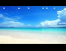 ハワイカンフー【2026/2/26】
