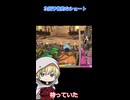 【刀剣乱舞偽実況】次回予告的な short2【FF14】