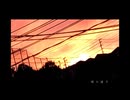 明日に咲く君 / ナースロボ_タイプT