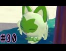 【実況】運命を刻む復興活動 part30【ぽこ あ ポケモン】
