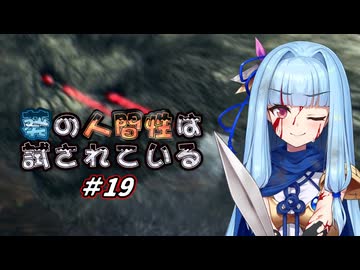 【A.I.VOICE実況プレイ】葵の人間性は試されている #19【DARKSOULS REMASTERED】