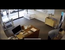 ホモと見るペットサロンで犬が消えた事件