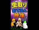 【リズム天国 ミラクルスターズ】虫取り（おてほん映像）