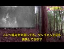 （熊再来）変態忍者の、有害鳥獣駆除従事活動記・その３７７