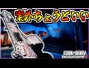 物理特化型SG12が弱いって嘘だよなぁ？【COD:BO7】