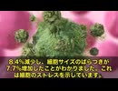 目の透明度と水分バランスを保つとても大事な細胞で、一生ほとんど再生しないんです