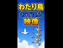 【リズム天国 ミラクルスターズ】わたり鳥（おてほん映像）