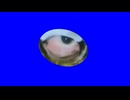 ウィリーBB