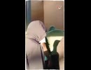 現地の様子を伝えるニュース映像｜注目の出来事