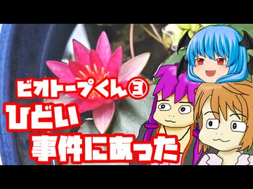 ひどい事件だったね（ビオトープ編 その３）【底石がだいぶ緑になってきた】