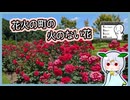 【自作合成音声】花火の町で火のない花を見るたきもとさん家【#シンプル車載動画投稿祭2026】