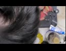 元加藤純一ミラー主　ぽりんこ　つむじ　ハゲ　