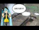 【素人養蜂　Part82】お久しぶりです