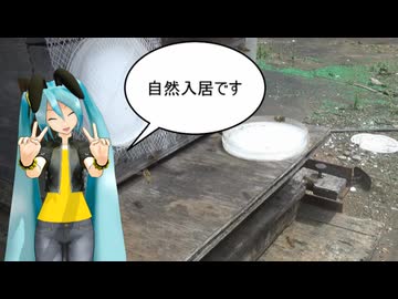 【素人養蜂　Part82】お久しぶりです