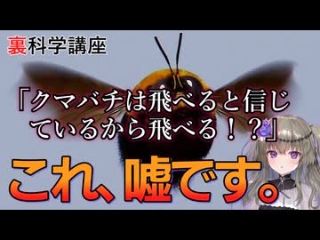 クマバチは飛べると信じているから飛べる！？