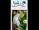 【七夕□】Xでバズったツイートが面白すぎる！ Part 133