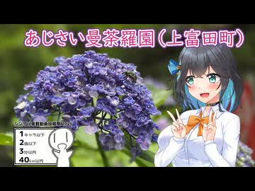 【シンプル車載動画投稿祭2026】あじさい曼荼羅園（上富田町）【ギャルゲ車載】