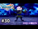海賊王（予定）ゆかりさんのドラゴンクエスト7 Reimagined #30