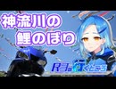 【バイク車載】R3の行くところ 第16回 神流川の鯉のぼり【YZF-R3】