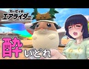 酔いどれライダーセイカさん #118【カービィのエアライダー】