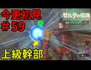 イーガ団潜入任務【ゼルダの伝説 ティアーズ オブ ザ キングダム】Part59