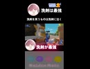 セリエル「やはり洗剤が最強」akiR「手仕事やってるわ」【PowerWash Simulator 2】