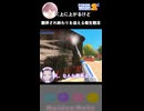 びっくりギミックと試される扉【PowerWash Simulator 2】