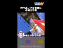 セリエルは飛ぶもの何故なら翼があるから【PowerWash Simulator 2】
