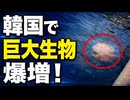 「見たらすぐ逃げろ！」巨大生物が爆増し韓国ガクブル！