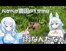 2026年7月6日　日記1778　天気がすっくりしないのでアイドールに向けてラストスパートかけていくよ！