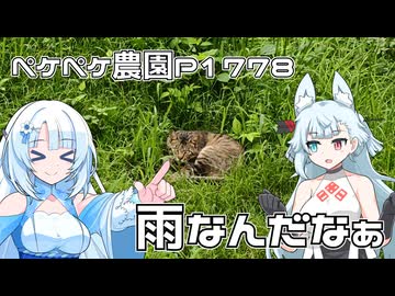 2026年7月6日　日記1778　天気がすっくりしないのでアイドールに向けてラストスパートかけていくよ！