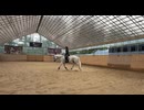 アヒル！お客様レッスン