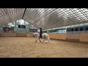 アヒル！お客様レッスン