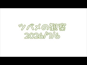 つばめの観察2026No027