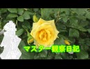 心筋梗塞マスター観察日記 260622_260705