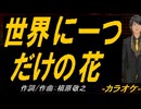 【ニコカラ】世界に一つだけの花【off vocal】