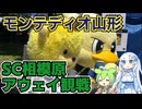 【サッカー Jリーグ】SC相模原サポーターによるモンテディオ山形戦アウェイ観戦旅 その2【百年構想リーグ】