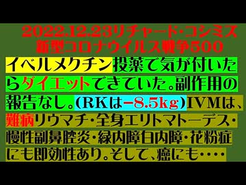 【2022年12月23日 ：『 リチャード・コシミズ「 Internet Lecture 」｟ 新型コロナウイルス戦争 ５００ ｠｟ RK LIVE ｠｟ 改良版 ｠』】