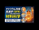 ナトリウム冷却高速炉（SFR）におけるナトリウム環境と構造材料腐食の材料科学